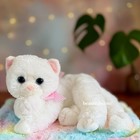      Crystal The Cat        Ty Classic   Gingham Ribbon  White   Old Tush  No Tag