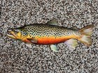 Brown Trout Replica -24 Inch 2d Metal Realistic Brown Trout Fish Art