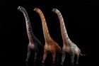 Haolonggood 1 35 Brachiosaurus Figure Collections Dinosaur Animal Model  Gift