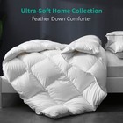 Down Feather Comforter Queen 90x90 Ivory White Medium Warmth Apsmile Organic