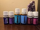 Lot Of 6 Young Living Essential Oils 90  Full