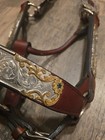 Kathys Show Halter