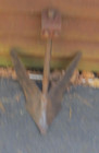 Vintage Planet Jr Cultivator Double Mold Board  V Plow Attachment W  Post