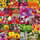 70 Varieties Of Flowers  Vegetable  Fruits   Herbs Seeds For Kitchen Home Garden