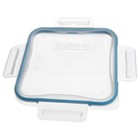Snapware 8704-pc 4-cup Total Solutions Lid W  Blue Spruce Gasket  4-pack 