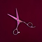 Precision Point Cut Hair Shears Scissors 5 5  Metallic Purple Titanium Vg10 Rh
