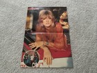 Stevie Nicks Fleetwood Mac Vintage 1977 Sexy Magazine Poster