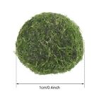 10pcs Marimo Moss Ball Cladophora Live Aquarium Plant Fish Tank Plant Decoration