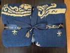 Disney Destiny Cruise Dvc First Wave 2025 Blanket 4   x5   