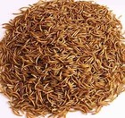 Bulk Dried Mealworms For Wild Birds Food Blue Bird Chickens Hen Treats 5 Lb