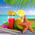 Straw Holder Dispenser And 100 Pcs Straws Plastic Drinking Straw Organizer Co   
