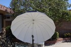 Gtx Studio 51  Black white Photography Umbrella 16 Fiberglass Panels Gs-bw16fp51