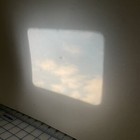 Vintage 8mm Home Movie 1950s 5  Reel Hunters Geese Duck Birds Corbett Bros Ranch