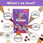 Gourmet Ice Cream Sundae Trail Mix 10oz Snack Mix Dark Chocolate Yogurt Treats