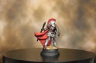 Painted Human Male Fighter Miniature Dungeons   Dragons Pathfinder Fantasy