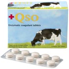 Qso Vegetable Rennet Tablets Strip 10 Pcs Cheese Making Coagulant Supplies
