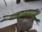 Mark Greening Huge Frog Spearing Fish Decoy Folk Art Decoy