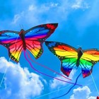 Butterfly Kite For Kids Adults Large Outdoor Flying Kite With String Line Toy