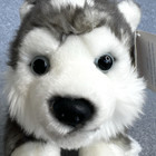 Animal Alley Toys R Us 13  Husky Dog Gray White Plush Stuffed Animal Nwt New