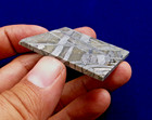 52 22 Gram Seymchan Iron Meteorite Slice - Stabile And Incredibly Beautiful