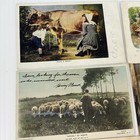 Antique Animal Postcards Pc Lot Of 5 Early 1900   s