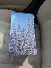 Young Living Essential Oil Haven Ceramic Diffuser Brand New In Box
