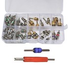102 Pcs Assortment A c Schrader Valve Core tool 4 Hvac R134a r12 Kit 11 Kinds