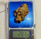 Sericho Pallasite Meteorite Specimen Natural Holes With A Certificate