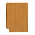 Economy Golden Oak Raised Panel Base Cabinet