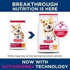 Hill s Science Diet Adult Small Bites Chicken   Barley Recipe Dry Dog Food 35lbs