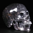 5 0  Chicken Bloodstone Carved Crystal Skull super Realistic  Crystal Healing