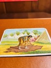 1910 Indian Life In The 1860 s Hassan Cigarette Tobacco Card