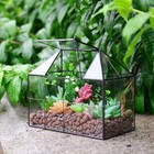 Large Glass Terrarium House Planter     Succulent Plant Terrarium House Shape Glas