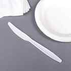 Karat Pp Plastic Extra Heavy Weight Knives - White - 1 000 Ct  U2031w