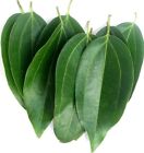 Organic Ceylon Dried Cinnamon Leaves Whole Herbal Fresh Natural Bulk Lot