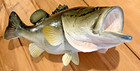 26  12-13lbs Lg Bass-stunning Life Like Handcrafted Fresh Water Fishmountreplica