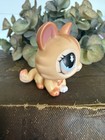 Vintage Authentic Littlest Pet Shop  870 Orange Shimmer Cat Hasbro