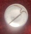 Vintage 80   s- 90   s Pbr Pin Pabst Blue Ribbon Beer Advertising Pinback Button 1 