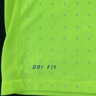 Nike Fit Dry The Celtic Football Club Neon Green   Yellow Soccer Jersey Men s L