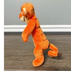 Disney Winnie The Pooh Tigger Plush Stuffed Animal Toy