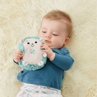 Fisher-price Calming Vibes Hedgehog Soother