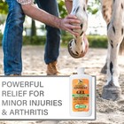 Absorbine Veterinary Liniment Gel 12 Oz Topical Analgesic Muscle   Joint Relief
