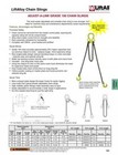 Lift-all 30005g10 Adjust-a-link Chain Sling  Chain Sling 10 Ft  Long 3 8