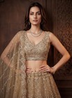 Luxury Net Lehenga Choli Crystal Handwork Bridal Wedding Reception Wear