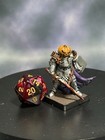 Painted Miniature Human Knight Dungeons   Dragons Pathfinder 28mm Fantasy
