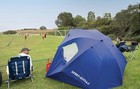 Sport-brella Premiere 8-ft Umbrella Shelter Upf 50  Sun   Rain Protection Blue 