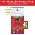 Purina One Adult Dog Dry Food - Lamb   Rice  High-protein  40 Lb Bag - New