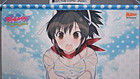  tapestry Wall Scroll  Asuka Homura Senran Kagura B2 Size Limited From Japan