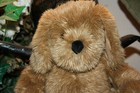 Rare Htf Gund Plush Brown Puppy Dog 13  Sitting Red Collar Shaggy Soft Cute  s1