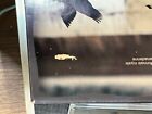 2004 Royal Canadian Mint Specimen Set
